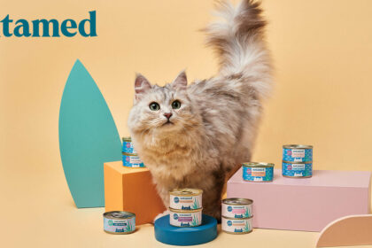 The ins and outs of cat nutrition in one place