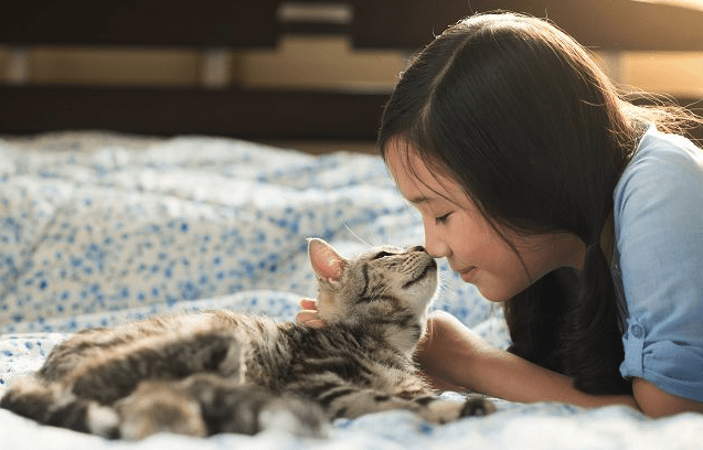 100+ Best Korean Cat Names | Female and Male | Pawsome Kitty