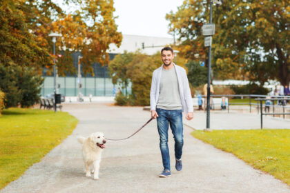 How Long Should a Dog Leash Be?