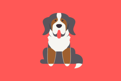 Get to know the Bernese Mountain Dog Breed, History, Health, Characteristics