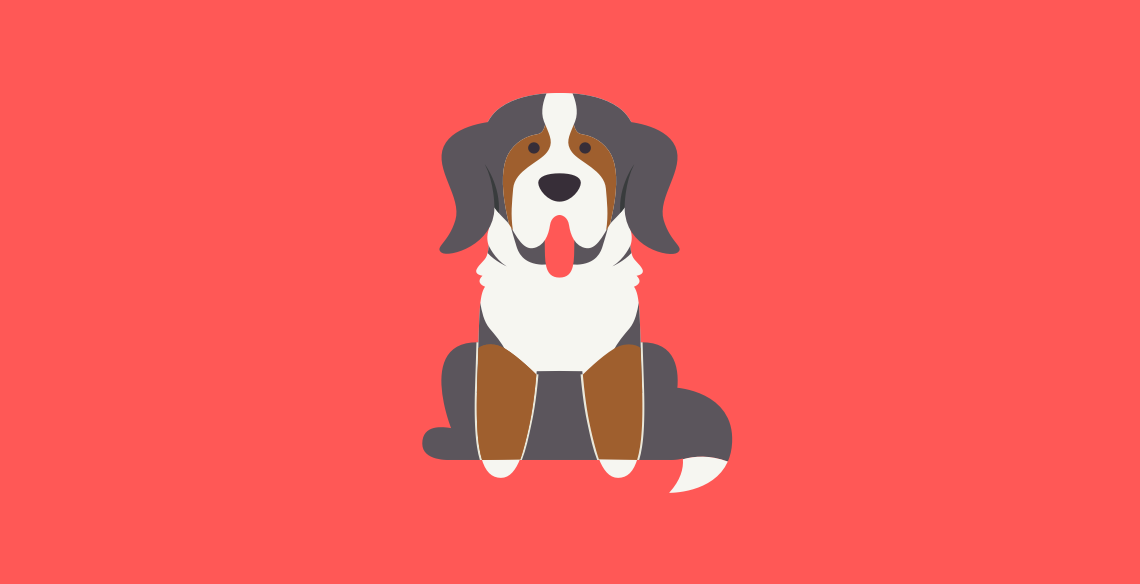 Get to know the Bernese Mountain Dog Breed, History, Health, Characteristics