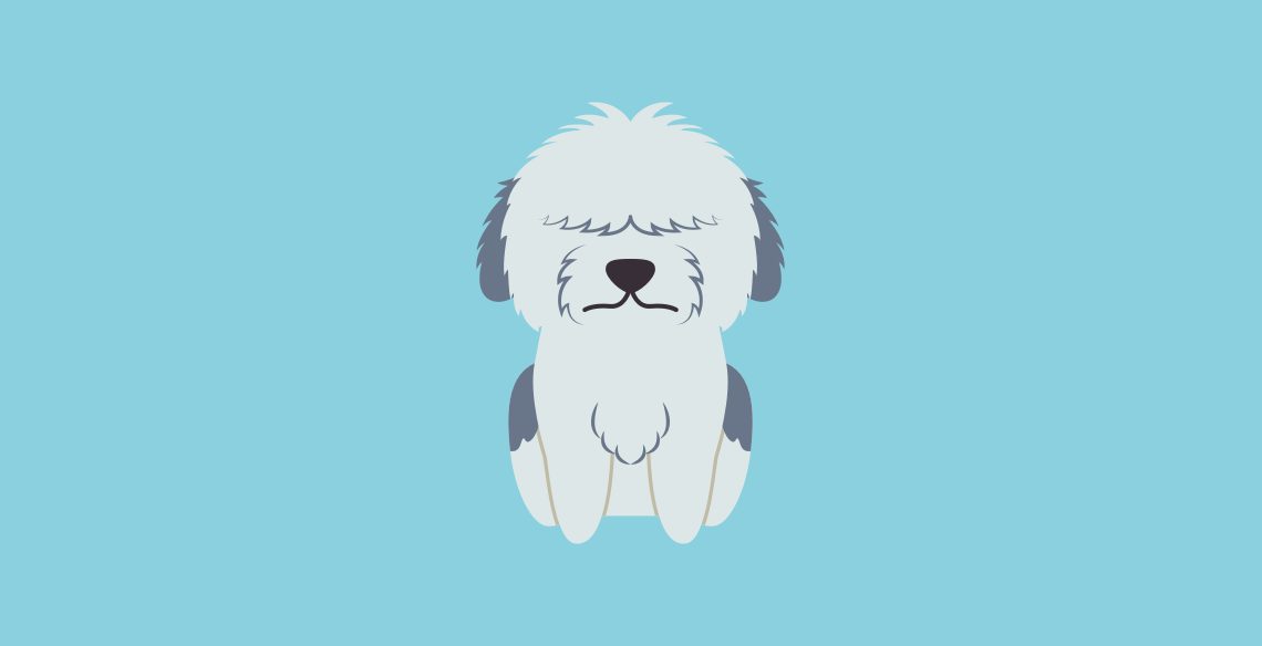 Get to know the Old English Sheepdog: Dog Breed Info, History, Health, Characteristics