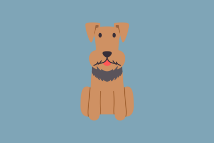 Get to know: the Airedale Terrier Dog Breed, History, Health, Characteristics