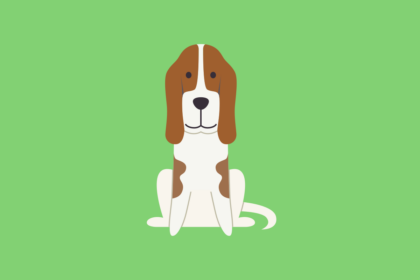 Get to know: the Basset Hound Dog Breed, History, Health, Characteristics