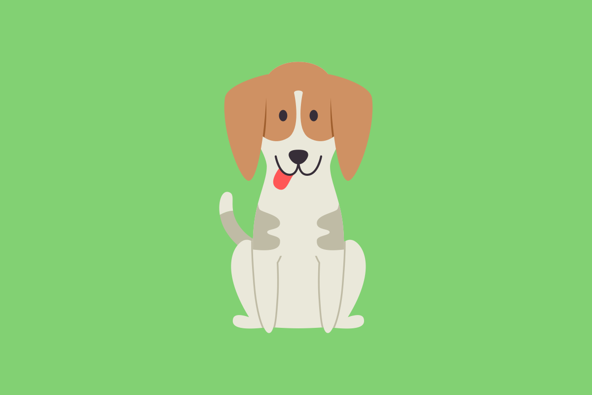 Get to know: the Beagle Dog Breed, History, Health, Characteristics