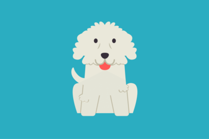 Get to know: the Bichon Frise Dog Breed, History, Health, Characteristics