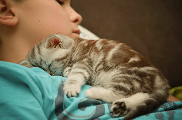 Why Do Cats Like Sleeping with Their Owners? | Pawsome Kitty