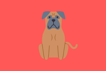 Get to know: the Boxer Dog Breed, History, Health, Characteristics