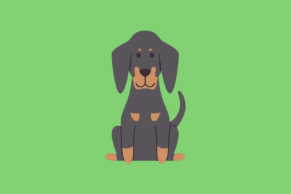 Get to know: the Dachshund Dog Breed, History, Health, Characteristics