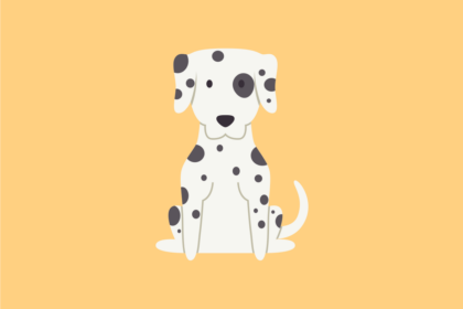 Get to know: the Dalmatian Dog Breed, History, Health, Characteristics