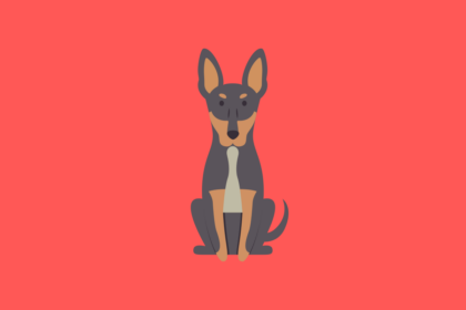 Get to know: the Dobermann Dog Breed, History, Health, Characteristics