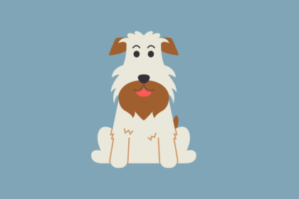 Get to know: the Fox Terrier Dog Breed, History, Health, Characteristics