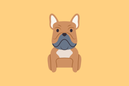 Get to know the French Bulldog Dog Breed, History, Health, Characteristics