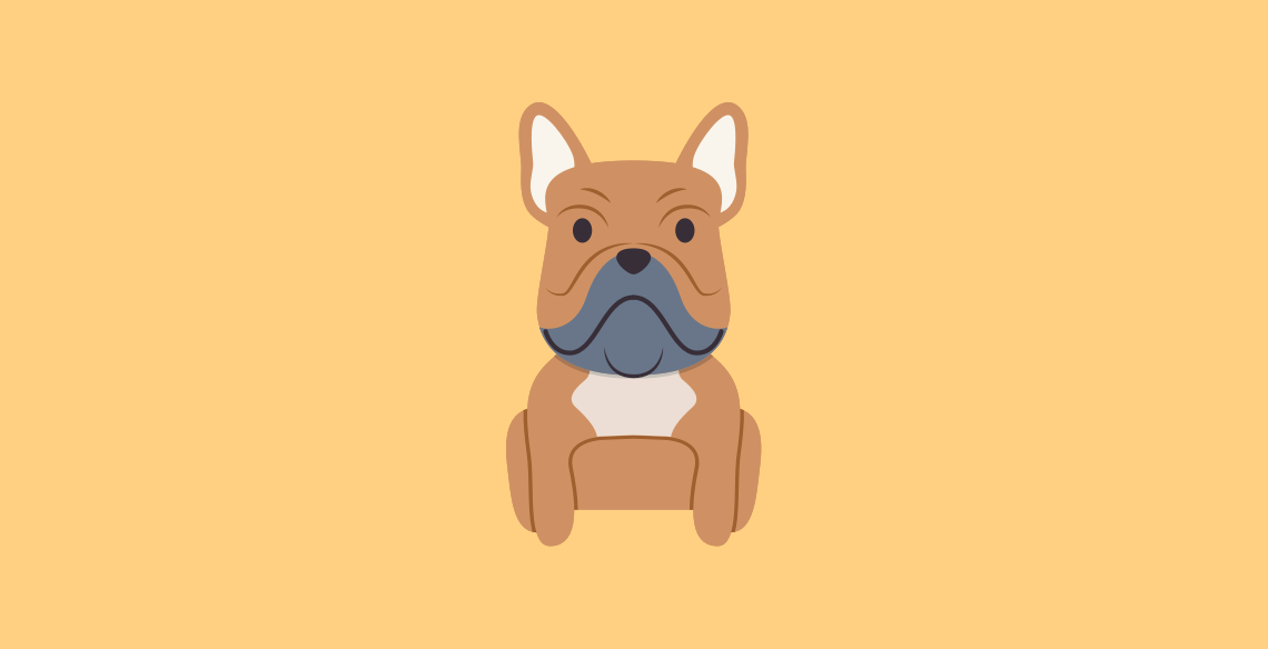 Get to know the French Bulldog Dog Breed, History, Health, Characteristics