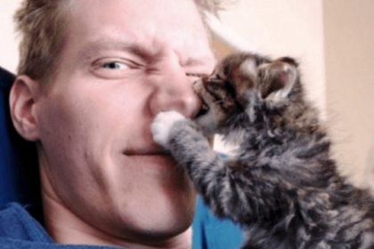 Why Do Cats Put Their Paws On Your Face? | Pawsome Kitty