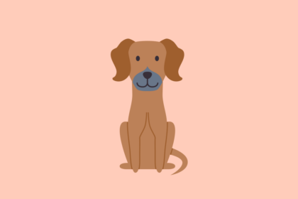 Get to know: the Hungarian Vizsla Dog Breed, History, Health, Characteristics