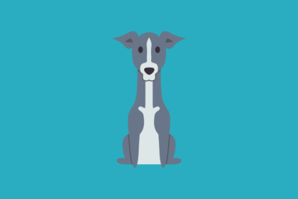 Get to know: the Italian Greyhound Dog Breed, History, Health, Characteristics