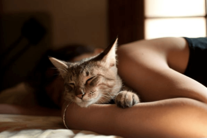 Why Does My Cat Sleep With Me and Not My Husband? | Pawsome Kitty