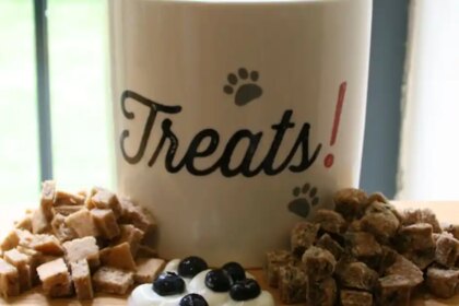 Make your own cat treats