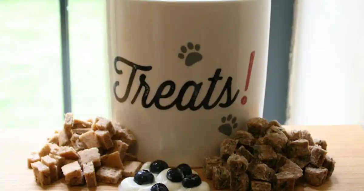 Make your own cat treats